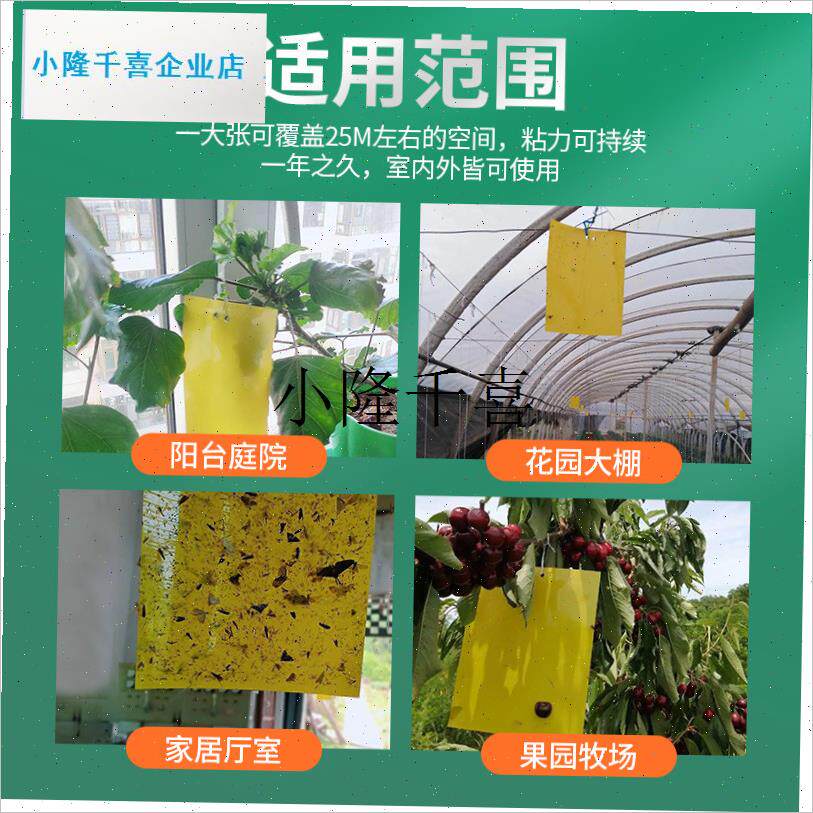 果实蝇诱粘板瓜果实蝇针锋贴纸A果园防水粘虫黄板诱虫板果蝇诱捕l