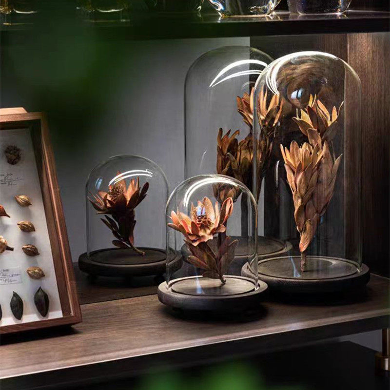 板间植物主题干花玻璃罩标本装饰画书房家居摆件干花景观软装饰品