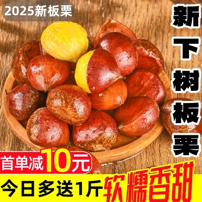 2025新下树丹东大板栗软糯香甜