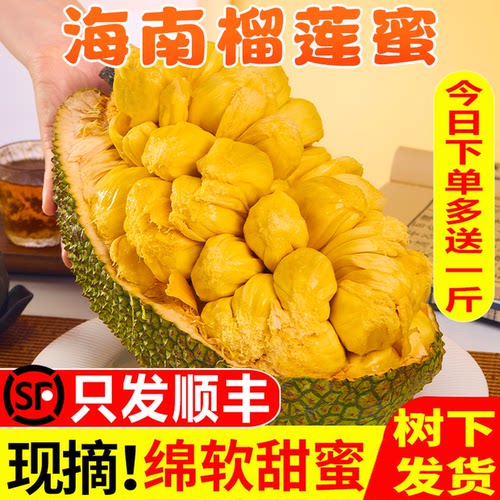 海南榴莲蜜当季新鲜水果产地直发