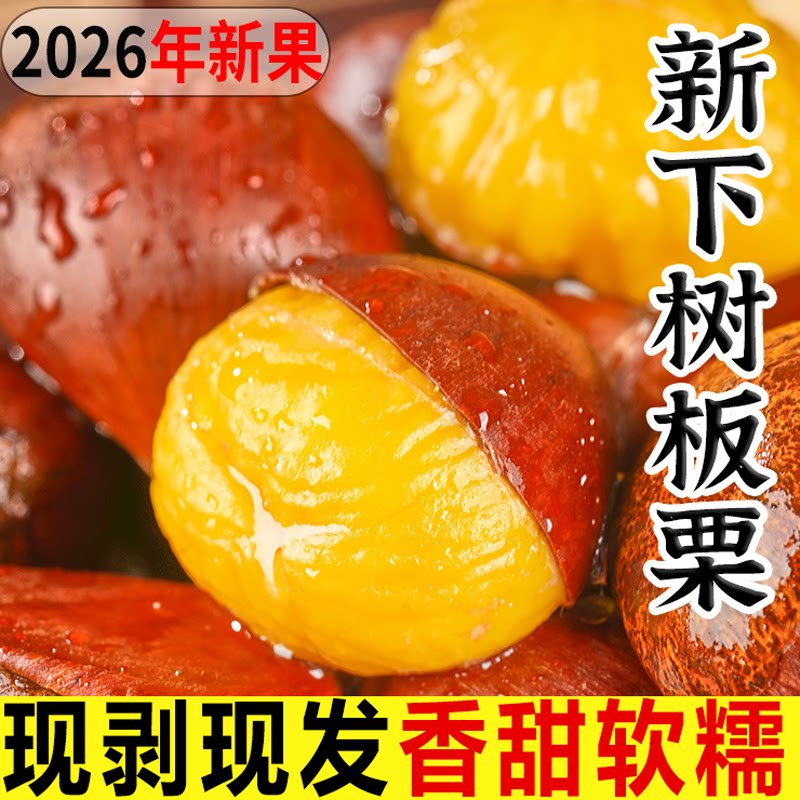 2026当季新鲜野生农家板栗毛栗