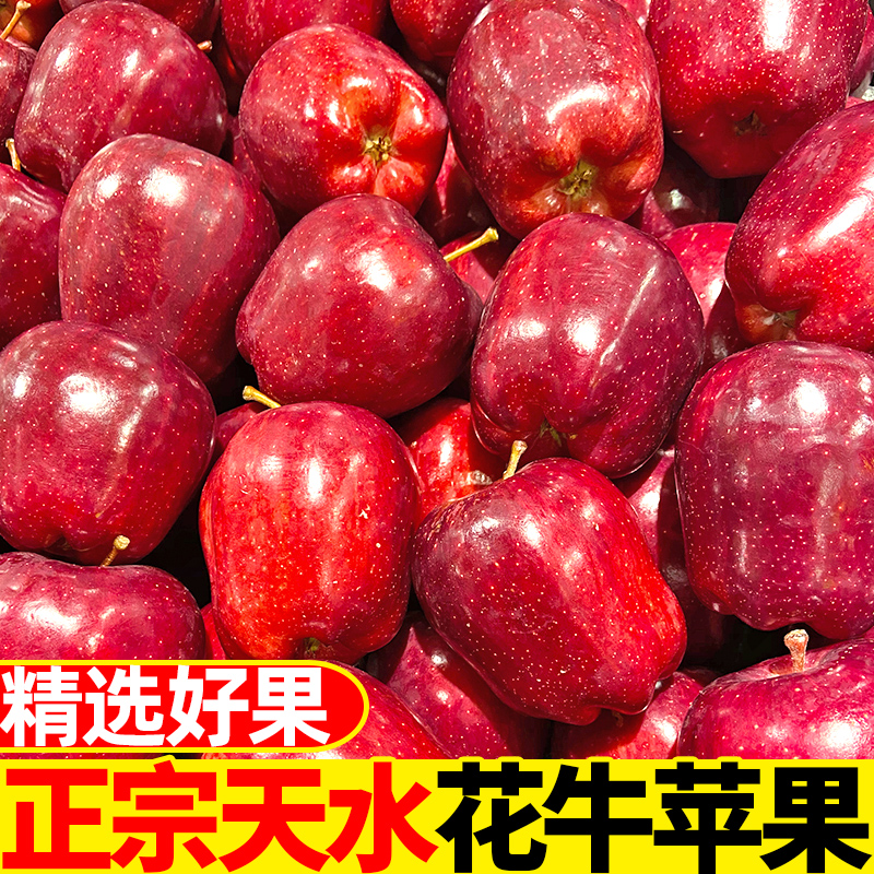 甘肃天水花牛苹果新鲜水果