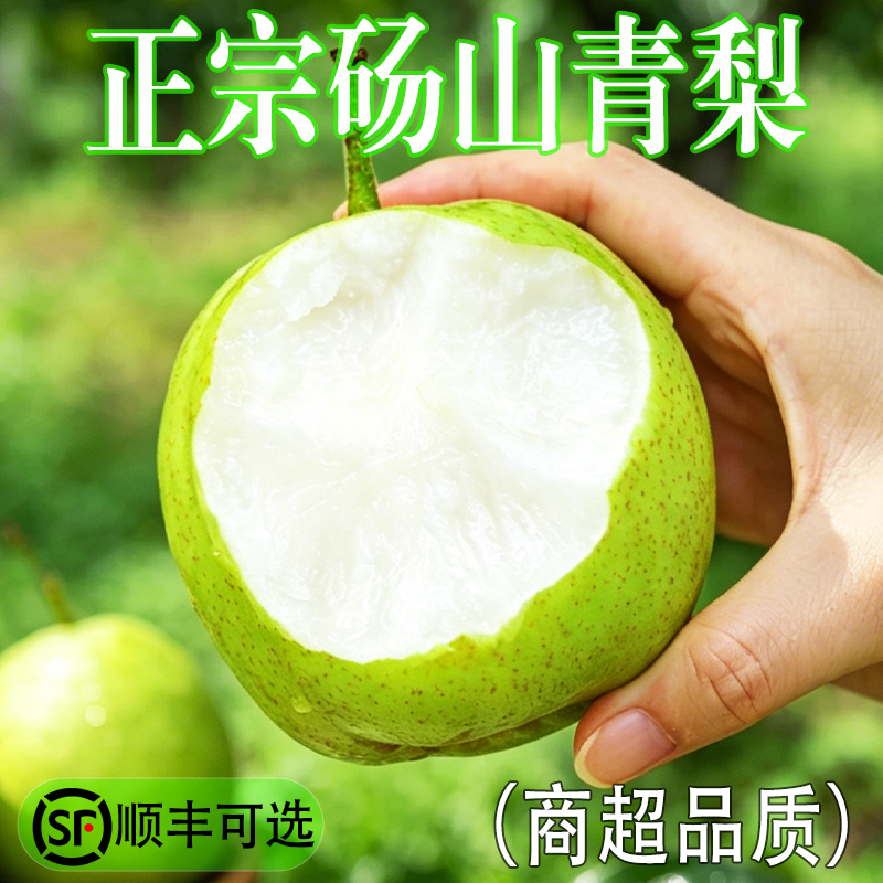 正宗砀山梨当季现摘整箱