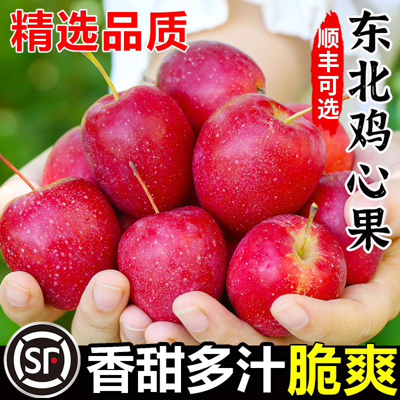 东北鸡心果沙果锦绣海棠果5斤