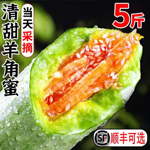 山东羊角蜜甜瓜5斤脆甜包邮