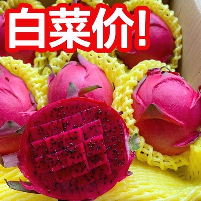 金都一号红心火龙果当季新鲜