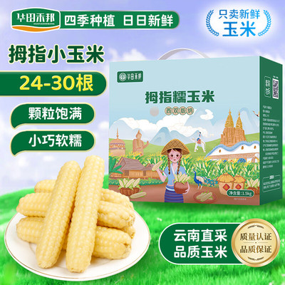 云南儿童拇指香糯玉米礼盒装