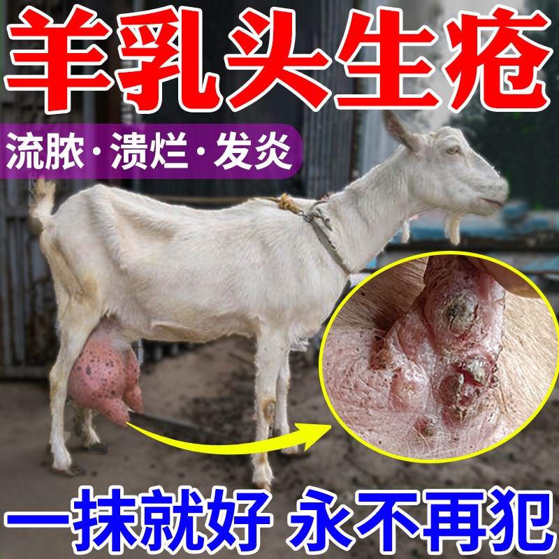羊药大全羊乳头生疮传染性脓包溃烂发炎口蹄疫牛羊结节.病羊痘专