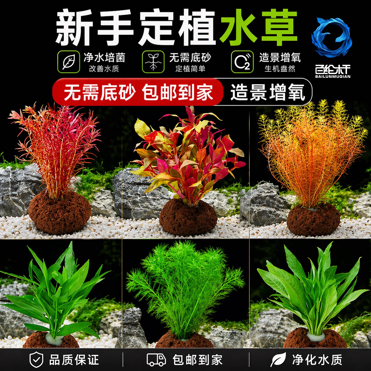 鱼缸水草植物真草造景阴性水榕蜈蚣绿菊冒泡净水培菌新手装饰套餐