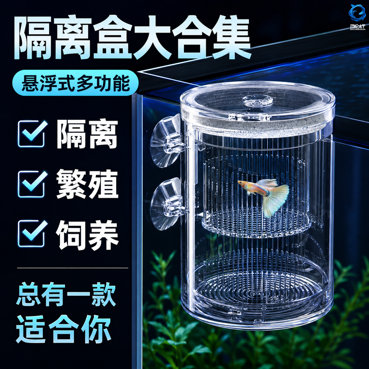 孔雀鱼繁殖盒鱼缸悬浮隔离饲养箱小鱼幼鱼产卵热带鱼多功能孵化器