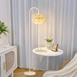 北欧轻奢护眼羽毛落地灯ins风卧室客厅网红直播间背景装饰氛围灯