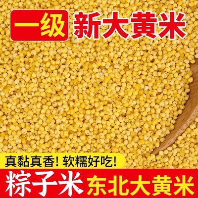 东北大黄米5斤 农家正宗粘米黄小米包粽子新鲜黍米端午节熬粥软糯