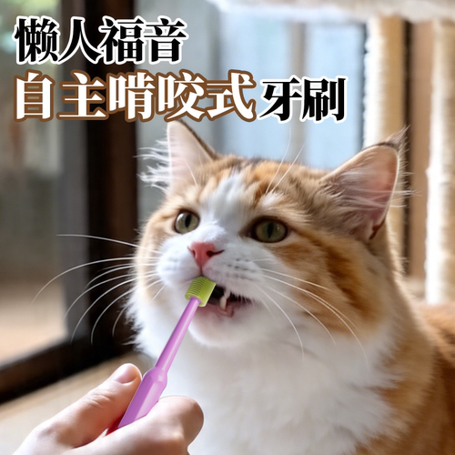 咖家Kaggia猫咪牙刷口腔清洁啃咬