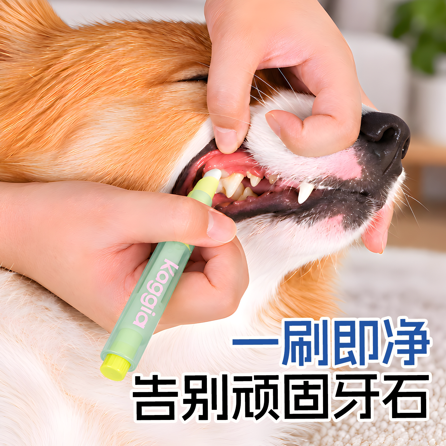 咖家宠物洁牙笔牙刷牙膏一体图片