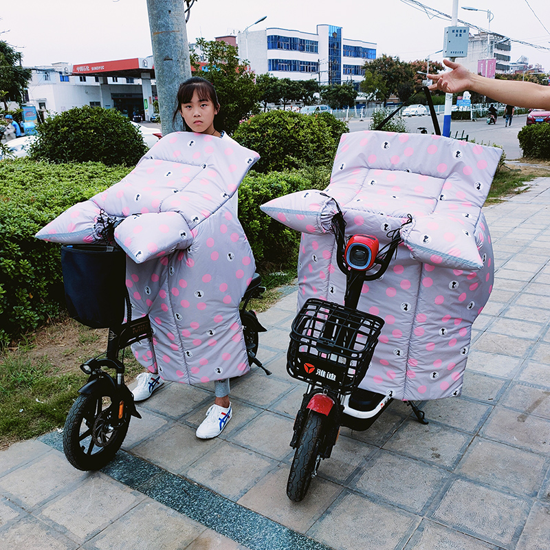 代驾电动车挡风被冬季加绒加厚小电瓶自行L车防水防寒防风罩秋保