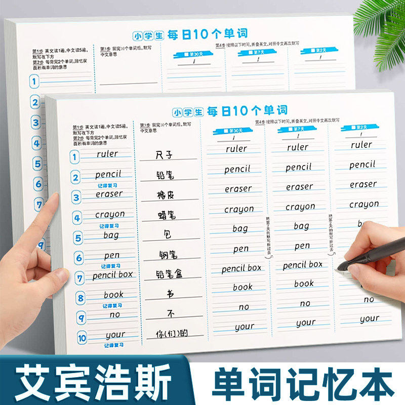 英语单词本速记本记背神器默写每日10个英文单词小学生速记本艾宾浩斯遗忘曲线记背单词高效记忆初中生高中生