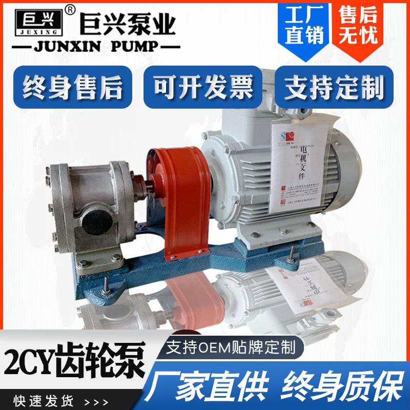2cy不锈钢齿轮泵 高压齿轮式输油泵 合金齿轮泵 高温齿轮油泵