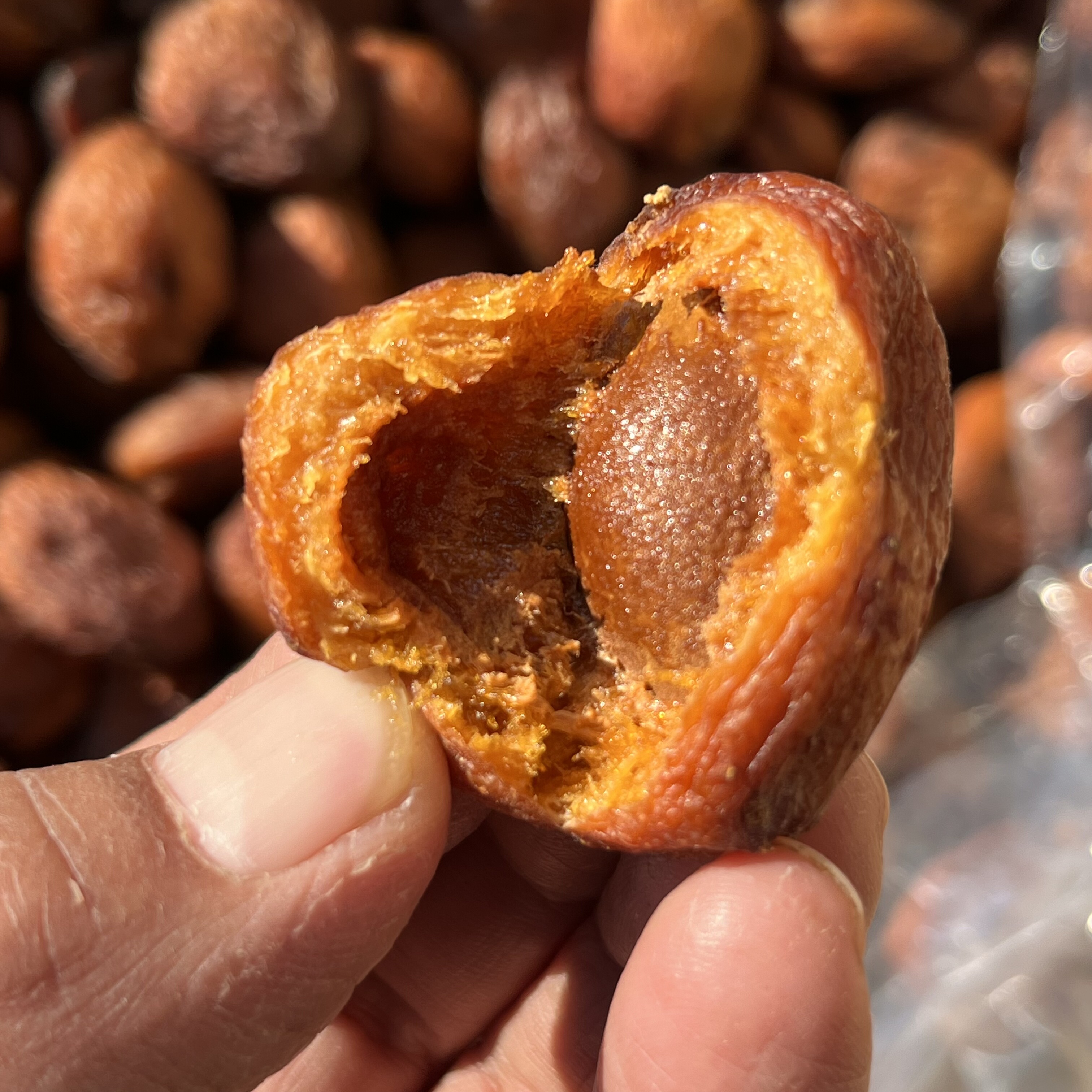 喀什原色大丑杏干实拍个大肉厚注意杏仁也好吃!