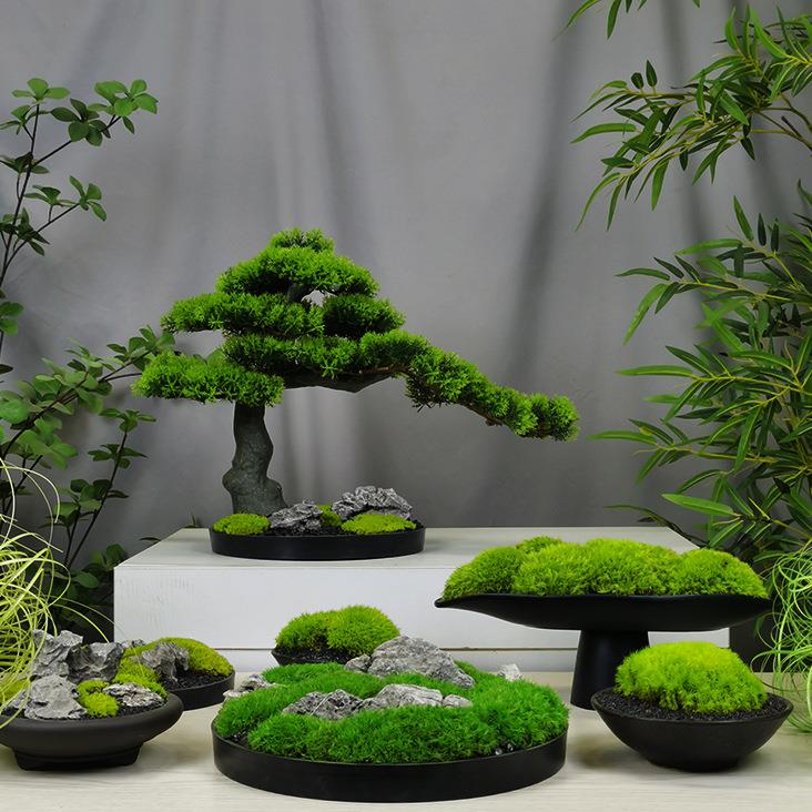 生苔藓微景观花艺盆景售楼样板房客厅茶室新式装中CKC饰品永业开
