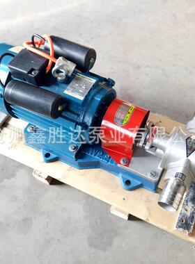 泊头齿泵厂DCD家2202V单不轮项电机锈钢齿轮泵DN5齿轮泵