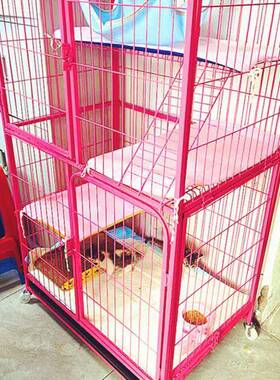 厂家直销选款可猫笼子猫笼猫家咪笼物KEC三层四层大号用宠猫