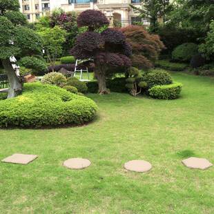 跨境新园款花踏脚石室外装饰个性踏脚室外走摆道室QRE草坪垫脚石