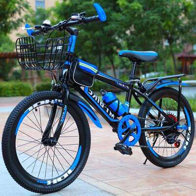 儿童自行车-寸变山地男-女小孩-----岁生单车AL100666绢花载学重