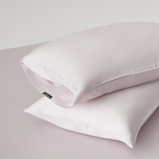 春夏新款 天丝枕套一对家用真丝枕头套纯色高级感单双人学生宿舍枕