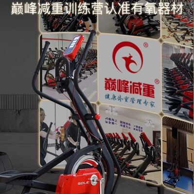 美国sole-E950进口动感椭