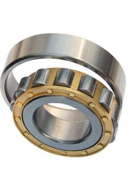 圆柱滚子轴承N213 214 215 216 217 218 219 220 221 222 224Em