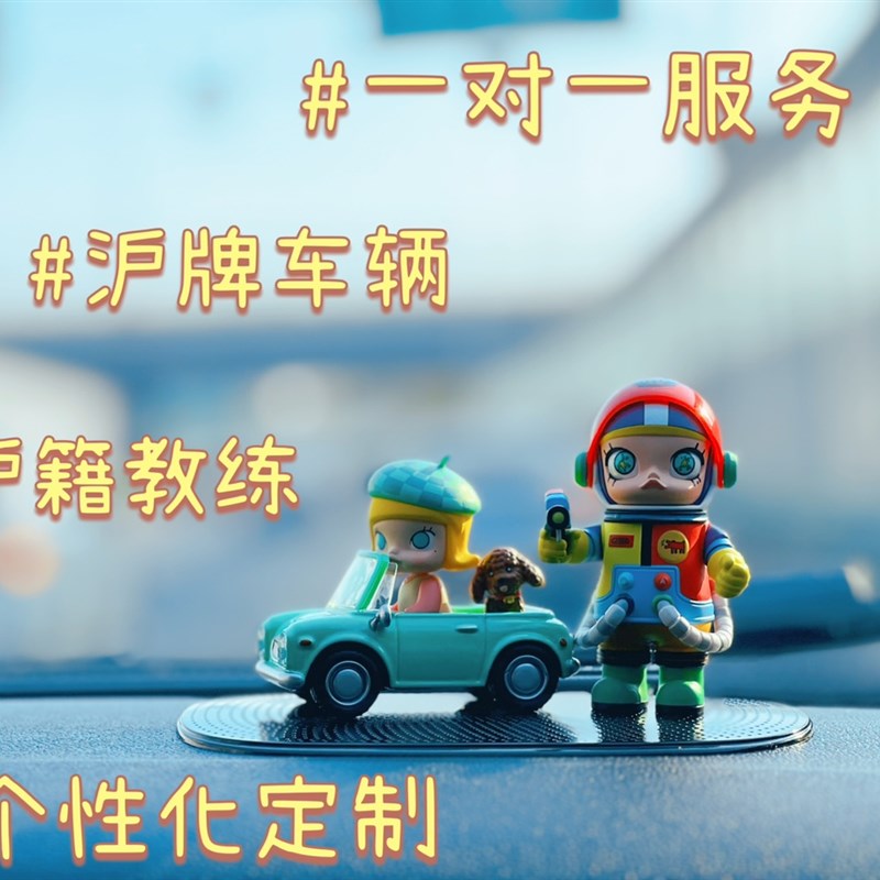 极速信博一对一教学汽o车陪练新手学车有证本本族练车教练车5次