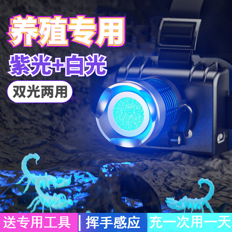 新品2023新款强光p养蝎子灯专用照看超亮头灯两用大功率专业充电