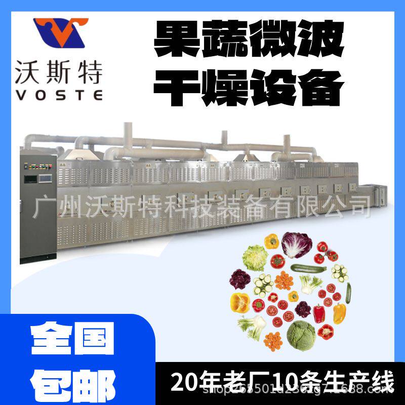 脱水蔬菜烘干机 果蔬微波干燥设备 水果干脱水设备