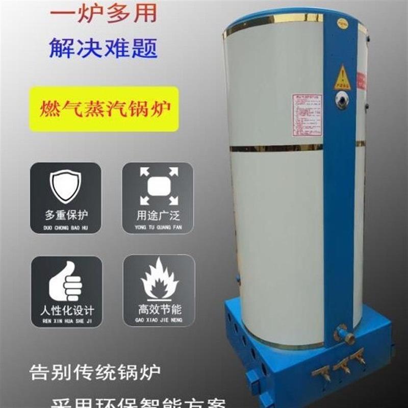 大型工业设备专用燃气节能锅炉 多种燃料可燃烧 环保低排放