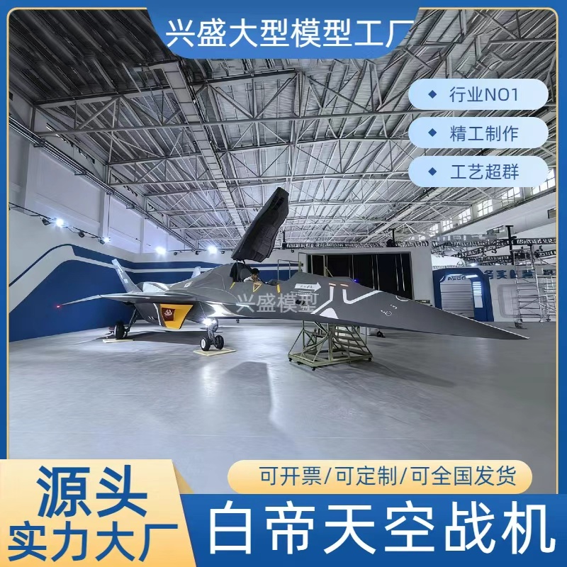 专业制作大型白帝天空战机歼10歼15歼20各类战机军事展览户外展览