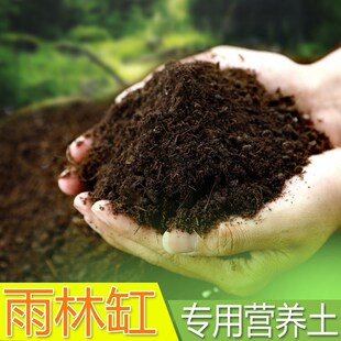 雨林缸专用土绿植专用土t盆栽盆景专用土雨林缸土雨林缸专用营养