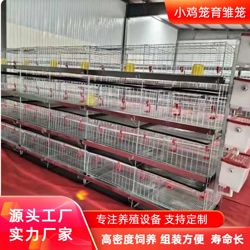 现货立式四层小鸡笼育雏鸡笼 层叠式养鸡笼养鸡设备养殖场鸡舍用