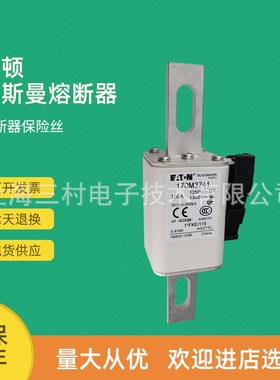 全新原装现货快速熔断器保险丝断路器170M3771 170M3772 170M3773