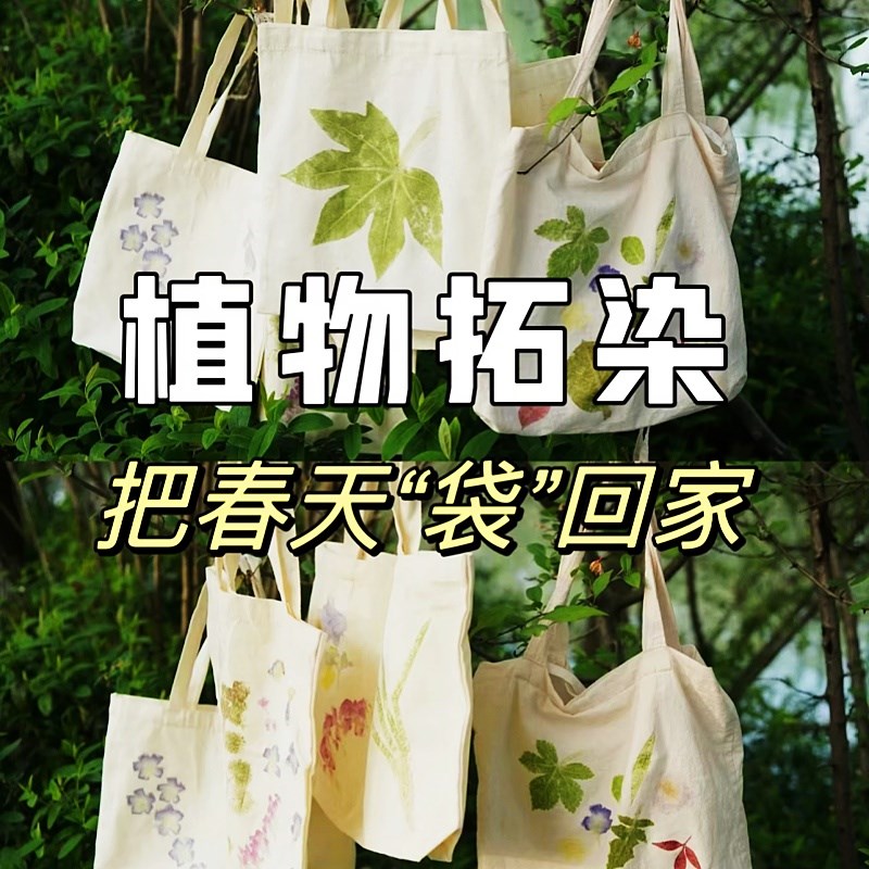 植物敲拓染d团扇材料包diy帆布包袋树叶拓印扎染布料锤子工具手工