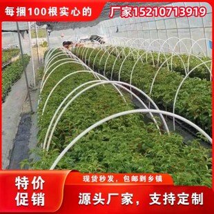 新型拱棚支e架爬藤架花棚棍温室用杆拱小棚保温棚塑料大棚遮阳菜