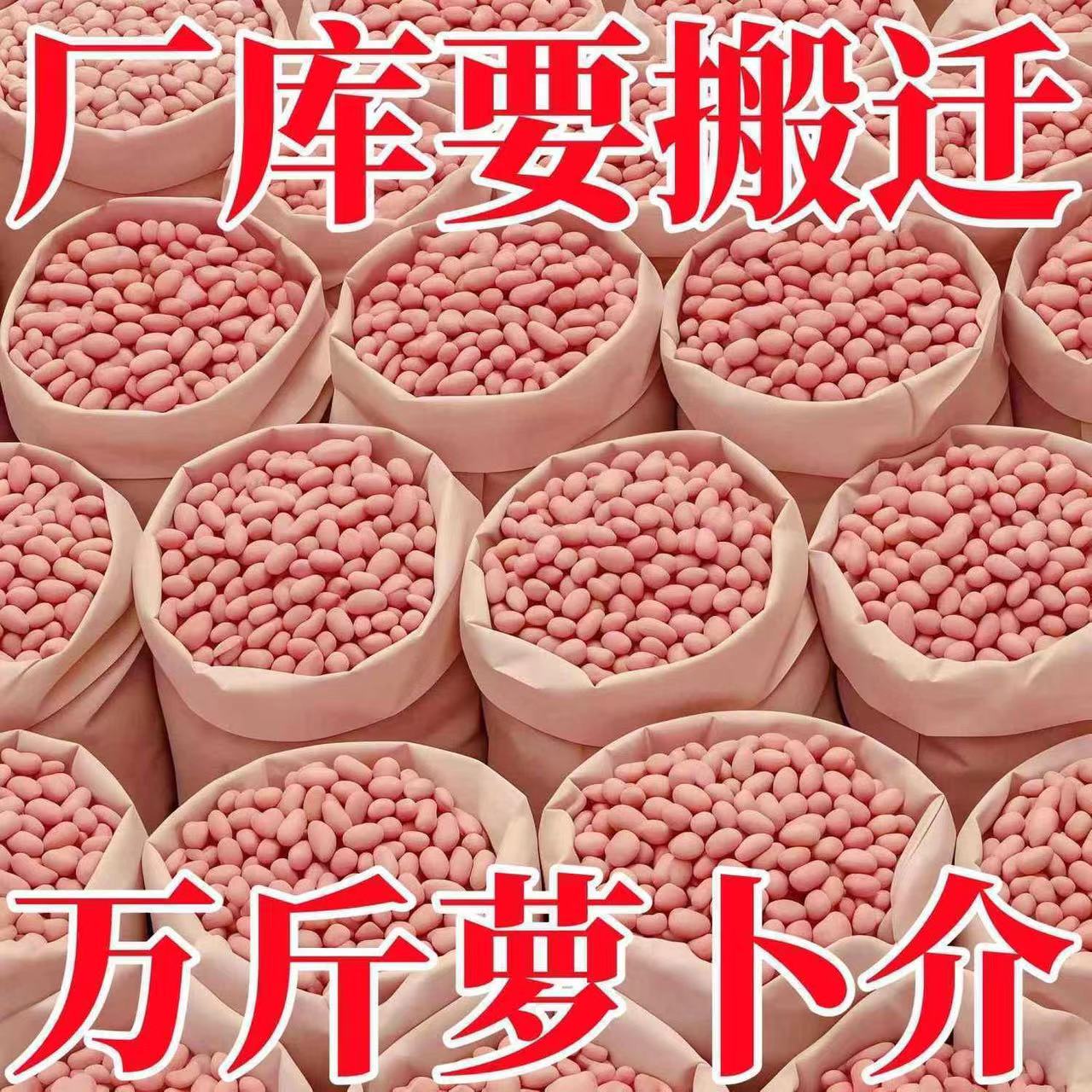 新鲜花生米新货大颗粒白沙农家生花生米商用去散装壳花生仁