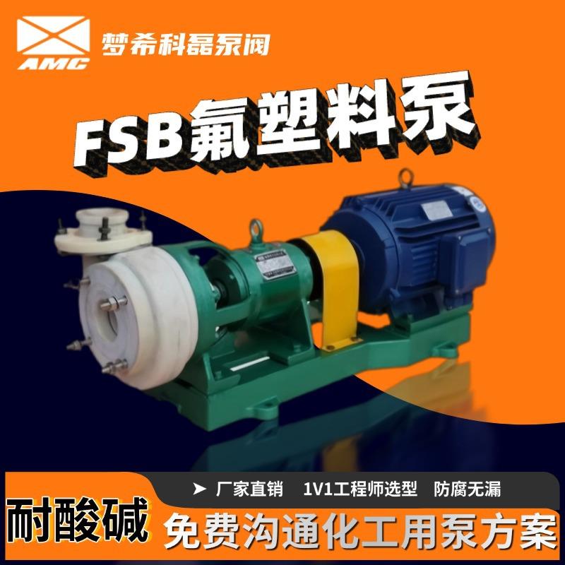 FSB氟塑料合金离心泵高分子氟塑料泵头耐腐蚀耐酸碱化工泵