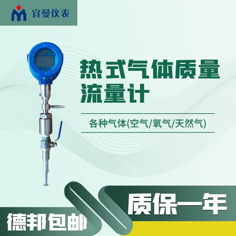 天津包邮热式气体质量流量计485通讯4-20ma输出不锈钢材质高精度