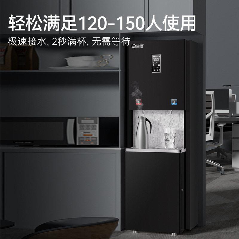 碧丽商用RO反渗透过滤公开水器