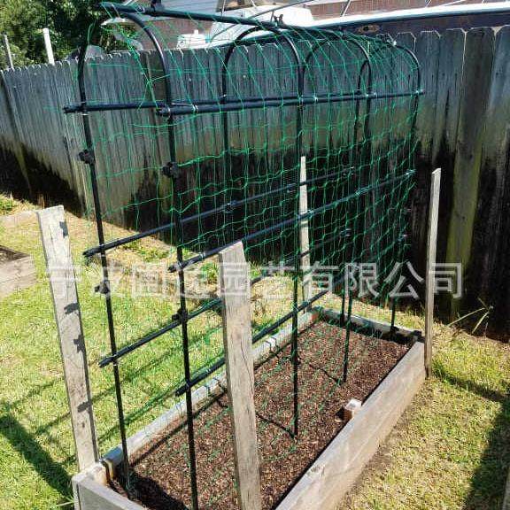 菜园包塑种植丝瓜爬藤架植物园艺黄瓜支架攀藤植物架子攀爬黄瓜架