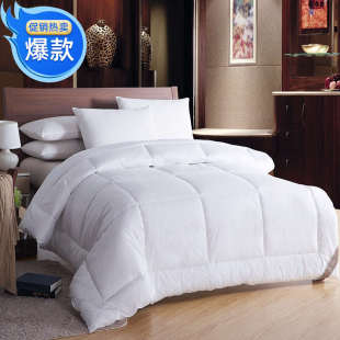 床品酒店绗被清被棉保暖邮床上用品四季 加厚全芯包被纯白冬宾馆