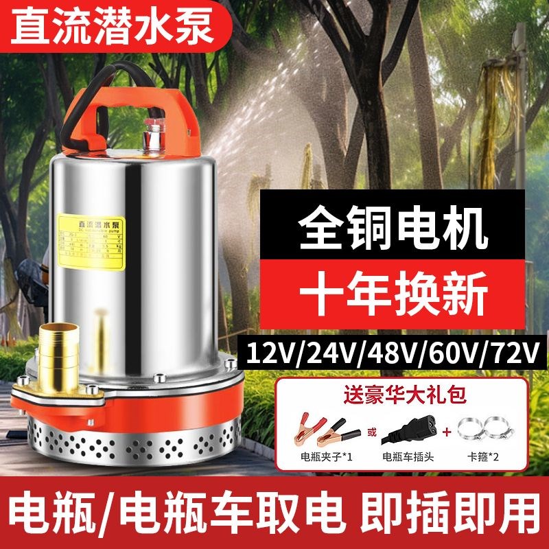 电瓶车专用抽水泵直流潜水泵灌溉12VB24V48V60V72V种田电动三轮车
