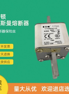 全新快速熔断器保险17l0M4058 170M4059 170M4060 170M4061