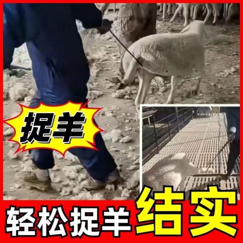 新款加粗抓羊钩子羊腿蹄子w钩抓羊神器使用方便逮羊专用捕羊工具