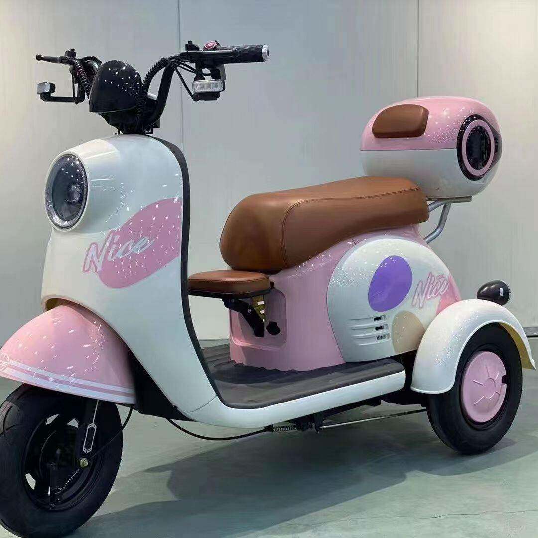 网红新国标电动三轮车成人女士接送孩子休闲电车新款三轮电动车